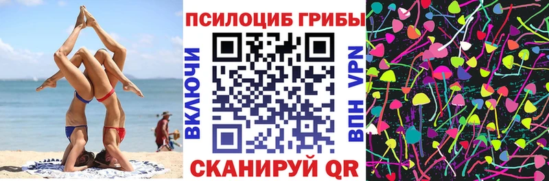 Псилоцибиновые грибы прущие грибы  наркота  Рубцовск 